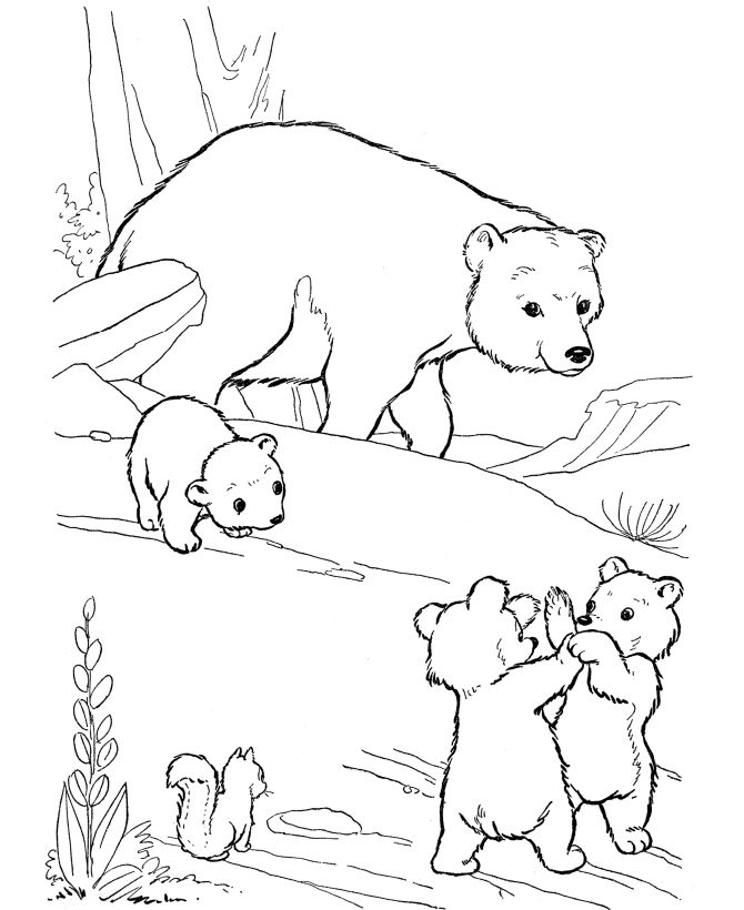 670x820 Printable Bear Coloring Pages Best Bear Coloring Pages Ideas