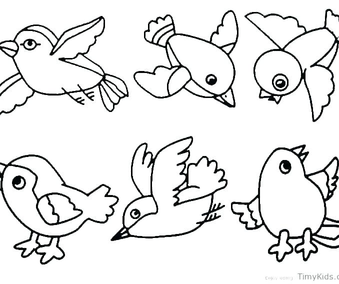 678x568 Free Coloring Pages Animals Bird Coloring Pages For Preschoolers