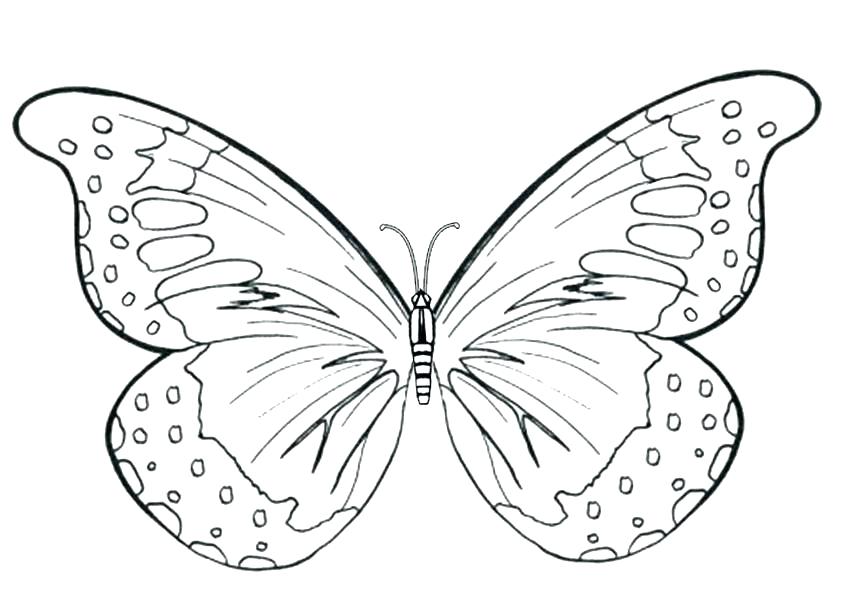 850x600 Coloring Butterfly Butterfly Wings Coloring Pages A Printable