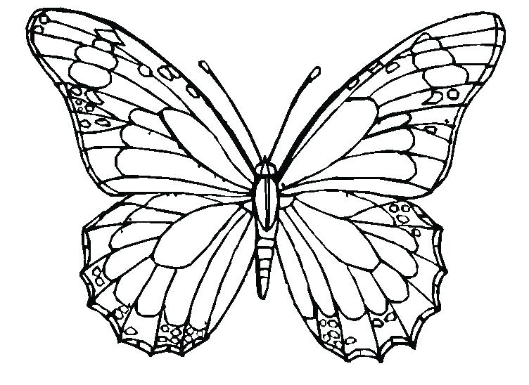 752x548 Coloring Page Butterfly Lovely Spring Coloring Pages Free