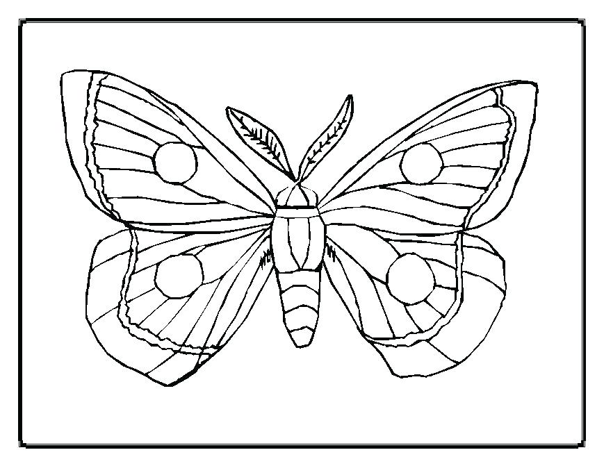 869x671 Free Printable Butterfly Pictures To Color Butterfly Coloring