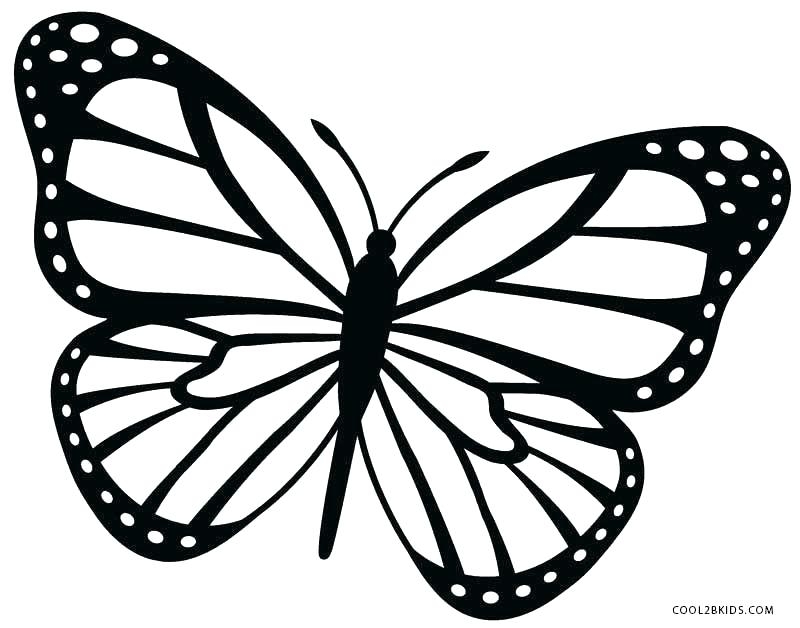 800x628 Butterfly Coloring Page Printable Caterpillar Coloring Pages