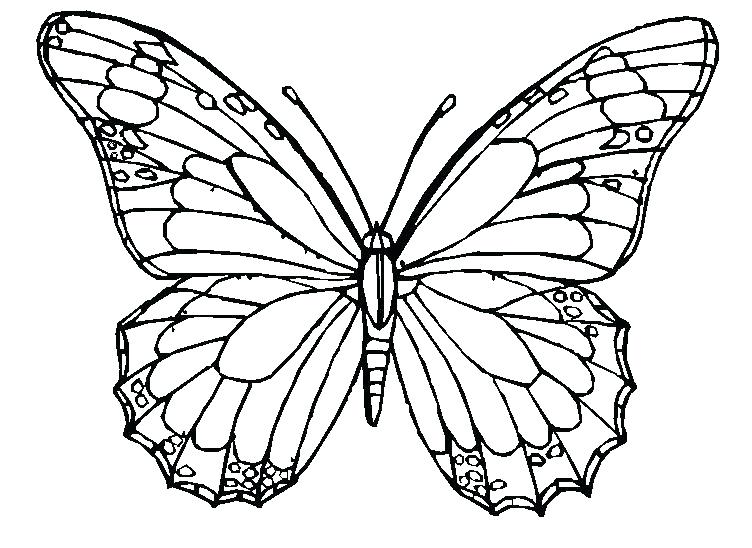 752x548 Butterfly Coloring Page Luxury Butterfly Coloring Pages