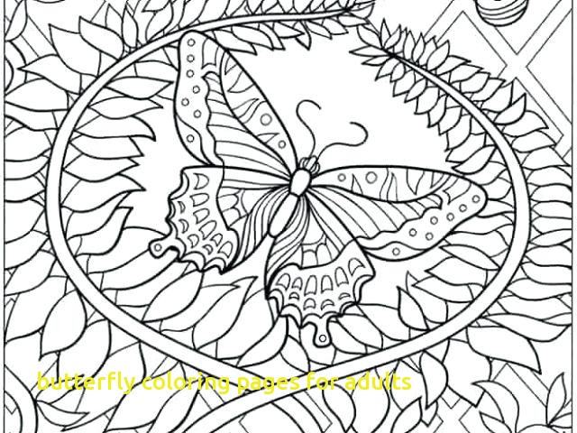 640x480 Butterfly Coloring Pages For Adults With Butterfly Coloring Sheets