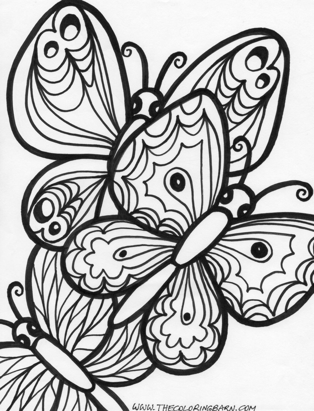 Free Printable Butterfly Coloring Pages For Adults at GetDrawings ...