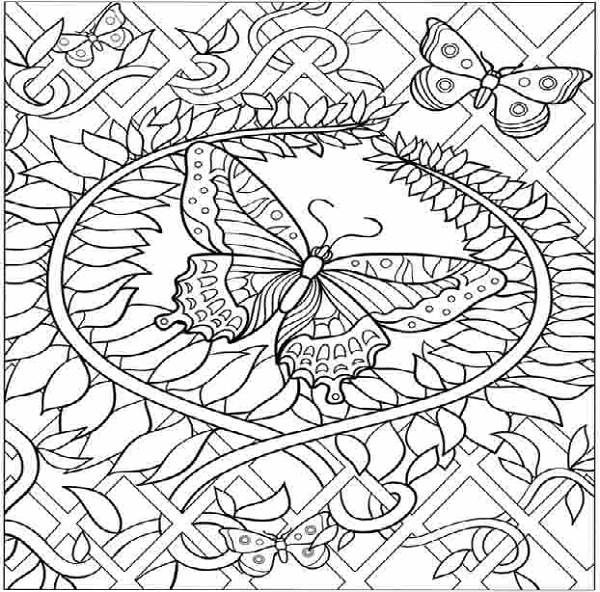 600x592 Free Printable Butterfly Coloring Pages Adults Hard Animal