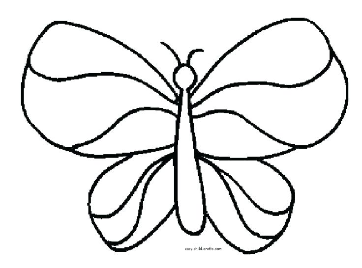 736x546 Detailed Butterfly Coloring Pages Free Printable Butterfly
