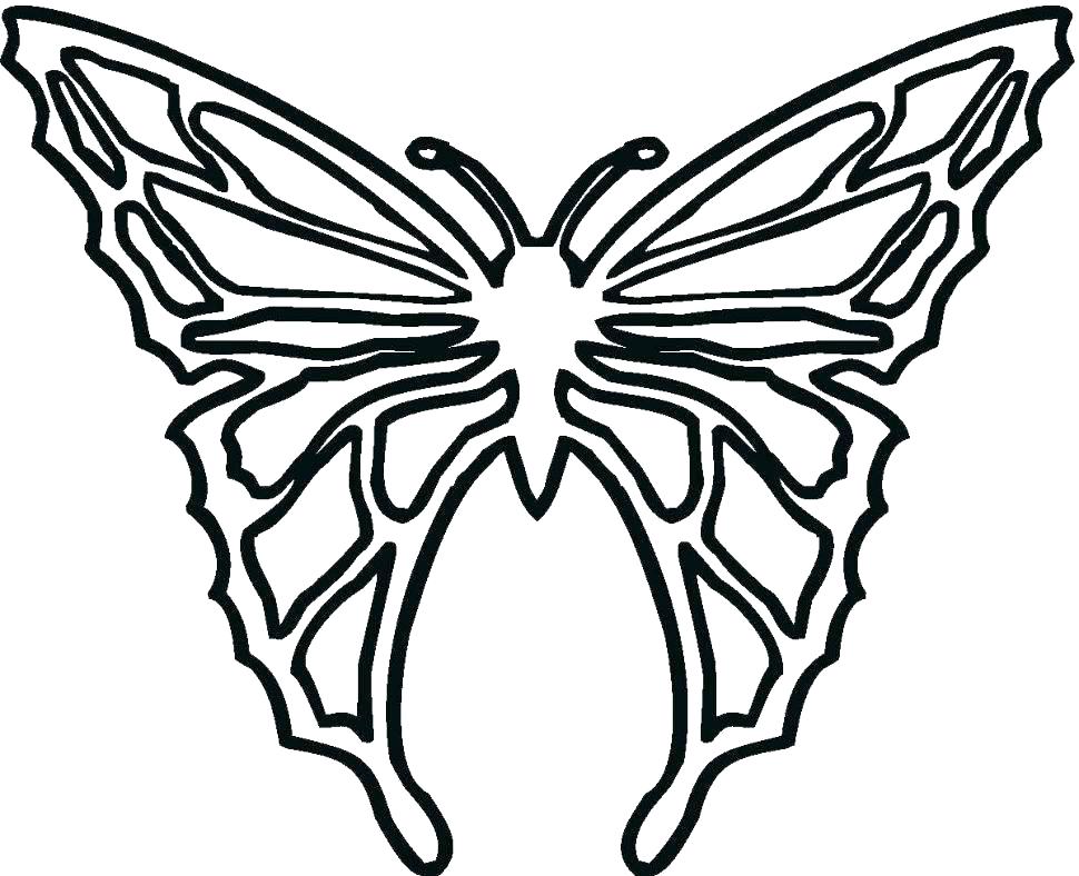 970x788 Printable Butterfly Coloring Page Butterflies Coloring Butterfly