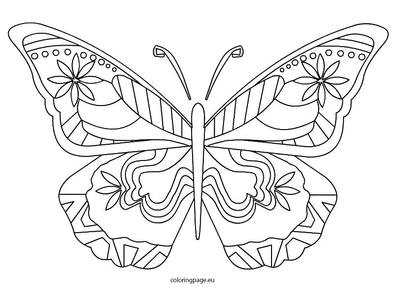808x595 Butterfly Coloring Page Butterfly Coloring Page Butterfly Coloring