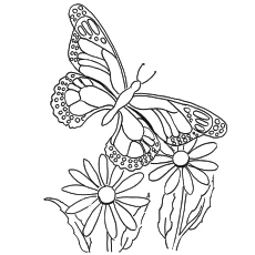 230x230 Top Free Printable Butterfly Coloring Pages Online