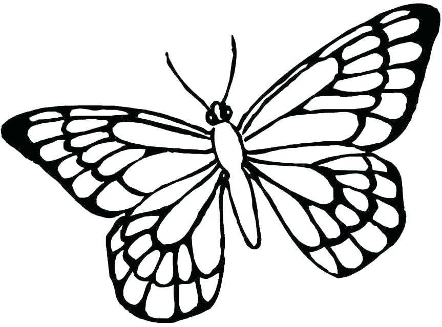 863x639 Coloring Pages Butterflies Coloring Pages Butterflies Excellent