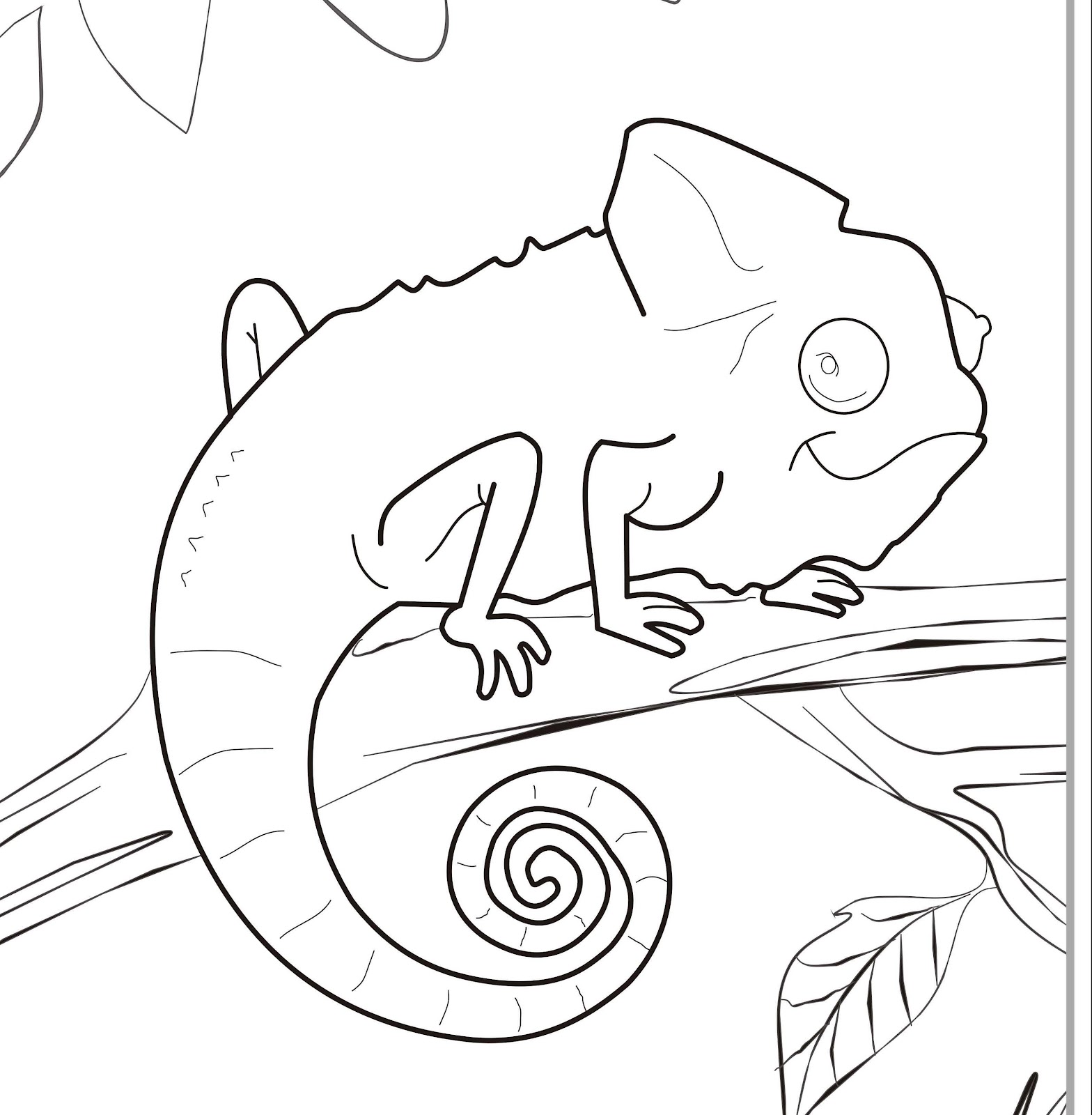 1568x1600 Chameleon Coloring Pages