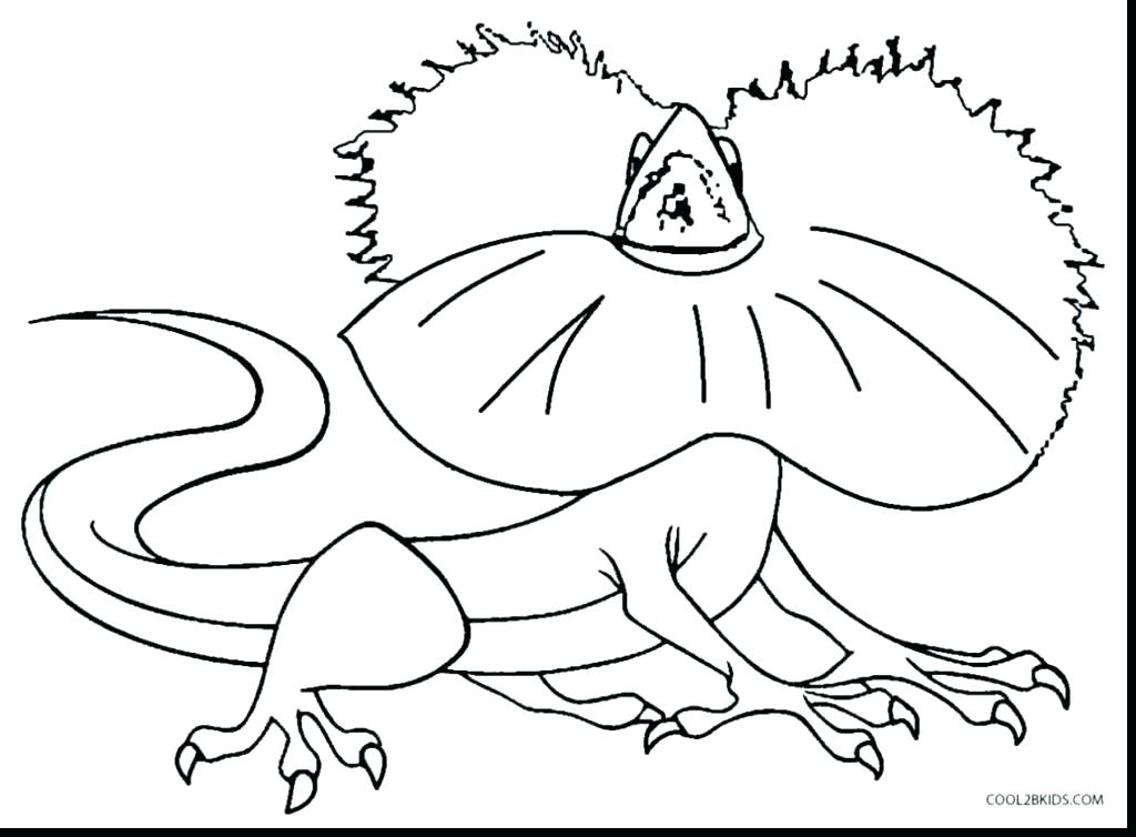 1024x754 Chameleon Coloring Pages Online Chameleon Coloring Page Mixed Up