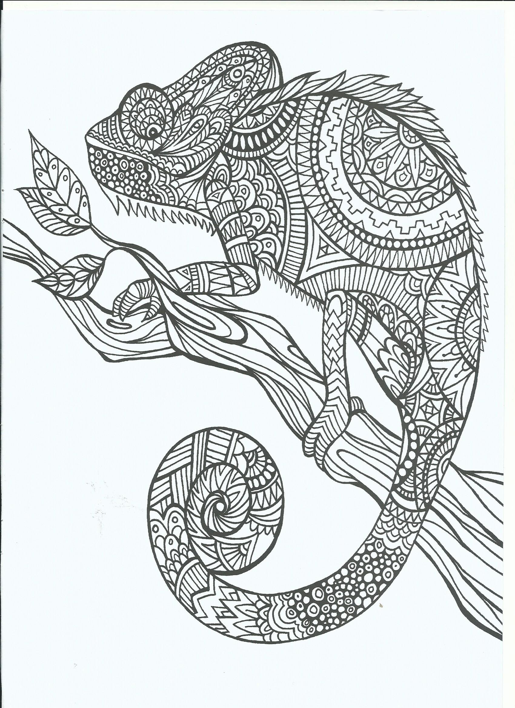 1700x2338 Coloring Pages For Adults Chameleon