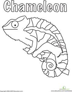 236x301 Photos Chameleon Coloring Pages For Kids