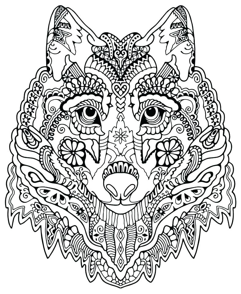 788x960 Printable Flower Coloring Pages For Adults Coloring Flower