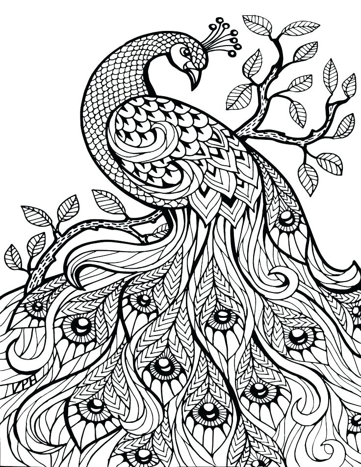 736x952 Cool Coloring Sheets For Adults