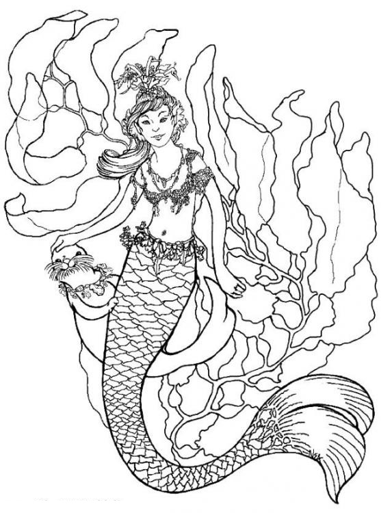 557x750 Mermaid Coloring Pages For Adults Image Collections