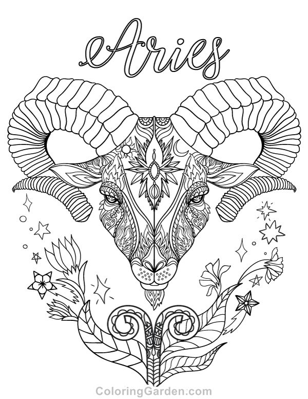 600x776 Best Adult Coloring Pages