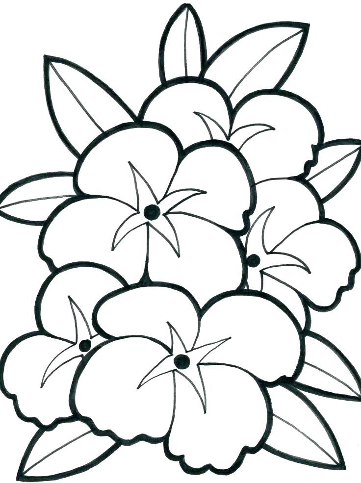 736x985 Coloring Pages For Teenagers Coloring Pages For Teens Printable