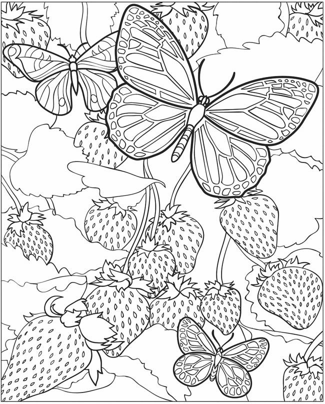 650x808 Printable Coloring Sheets For Older Kids Draw Free Printable