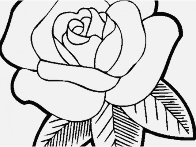 640x480 Free Printable Coloring Pages For Girls Design Easy Coloring Pages