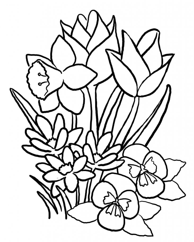 820x1024 Coloring Pages Flowers New Summer Flowers Printable Coloring Pages