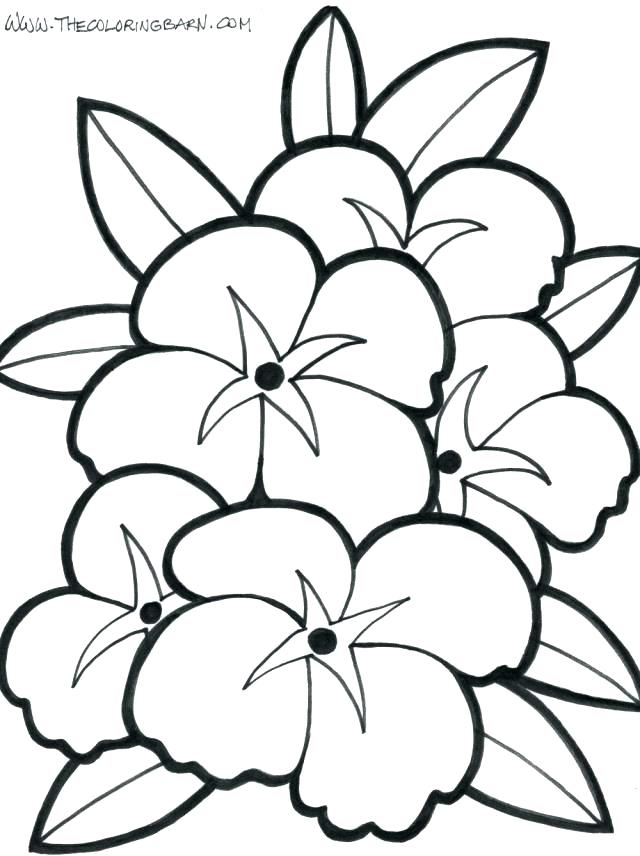 640x856 Coloring Pages Of Flowers Flower Coloring Pages For Kids To Print