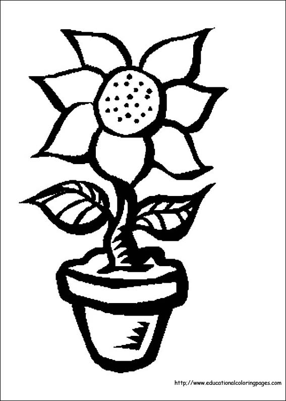 567x794 Flower Coloring Coloring Pages Free For Kids