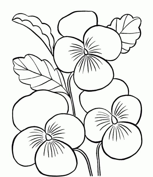 530x613 Best Drawings Images On Drawing Flowers, Coloring