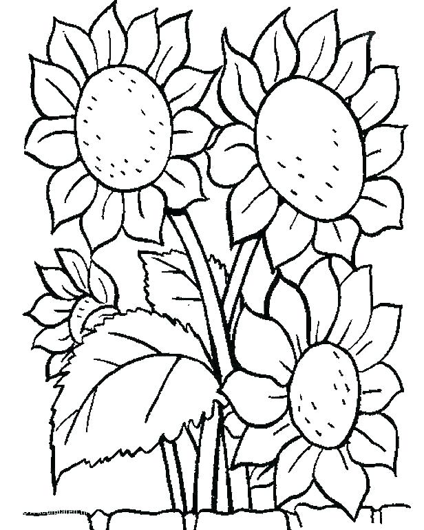 616x770 Coloring Pages Flowers Butterflies Plus Butterflies