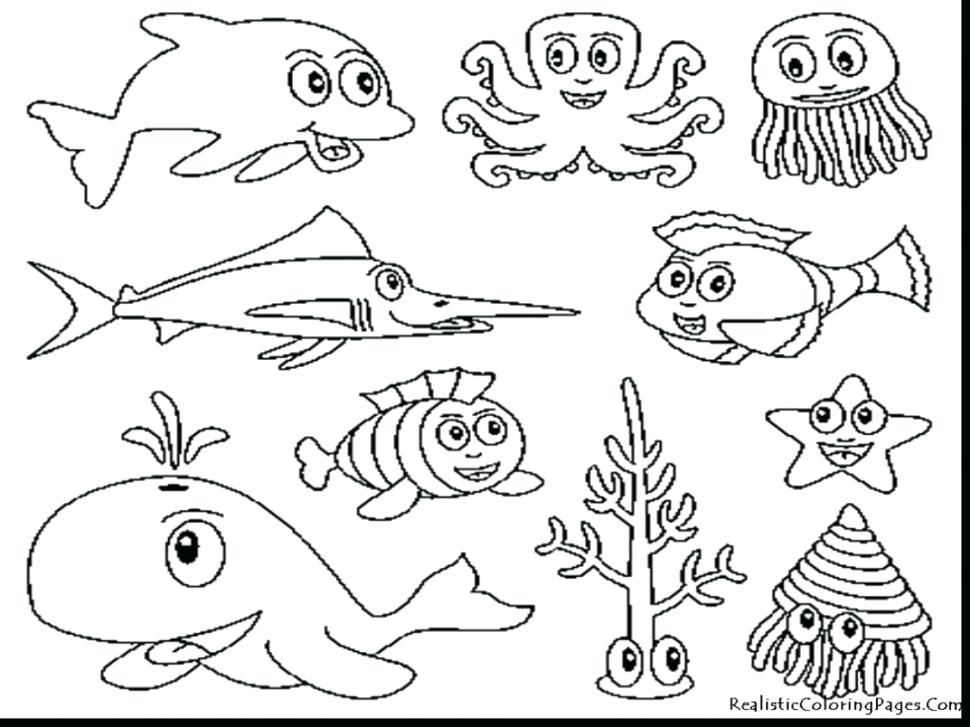 970x727 Wild Animals Coloring Pages Pdf