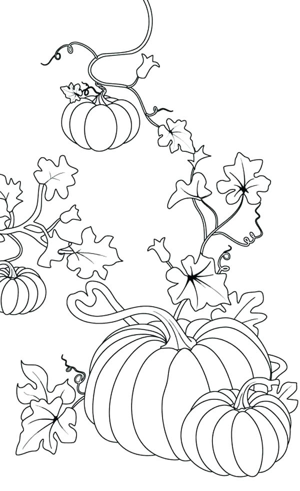 600x980 Coloring Pages Of A Pumpkin Coloring Page Of Pumpkin Pumpkins
