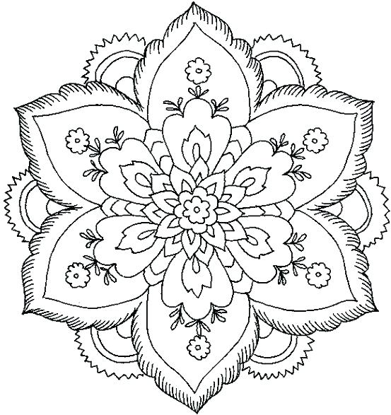 553x587 Coloring Pages Nature Coloring Pages Complex Coloring Pages