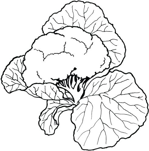 491x500 Printable Cornucopia Coloring Page Fruits And Vegetables Coloring
