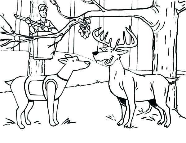 600x463 Free Printable Deer Hunting Coloring Pages Elk Page Sheet Deer