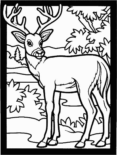407x540 Deer Coloring Page For Kids