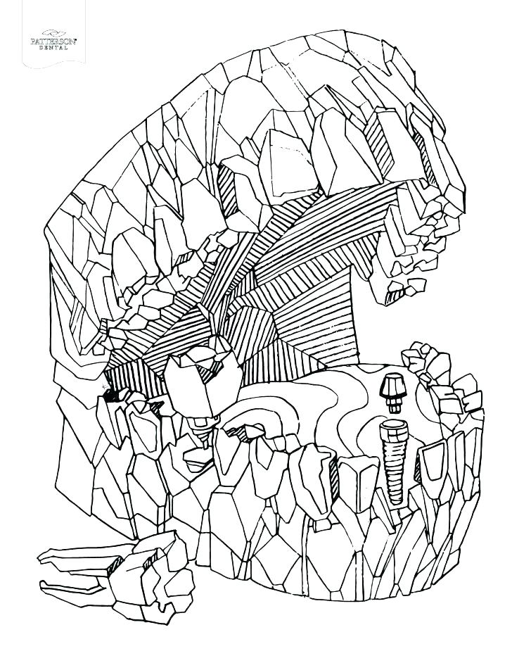 728x942 Dental Coloring Pages Printable Coloring Pages Of Teeth Teeth