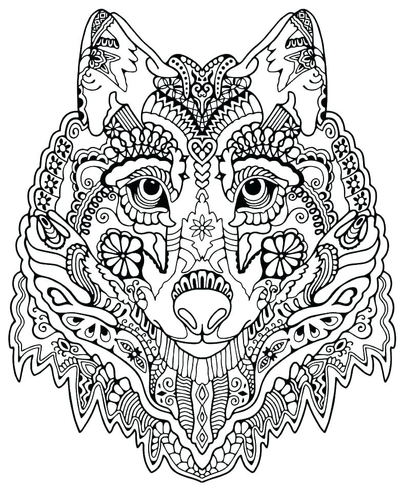 788x960 Detailed Coloring Pages To Print Free Intricate Coloring Pages