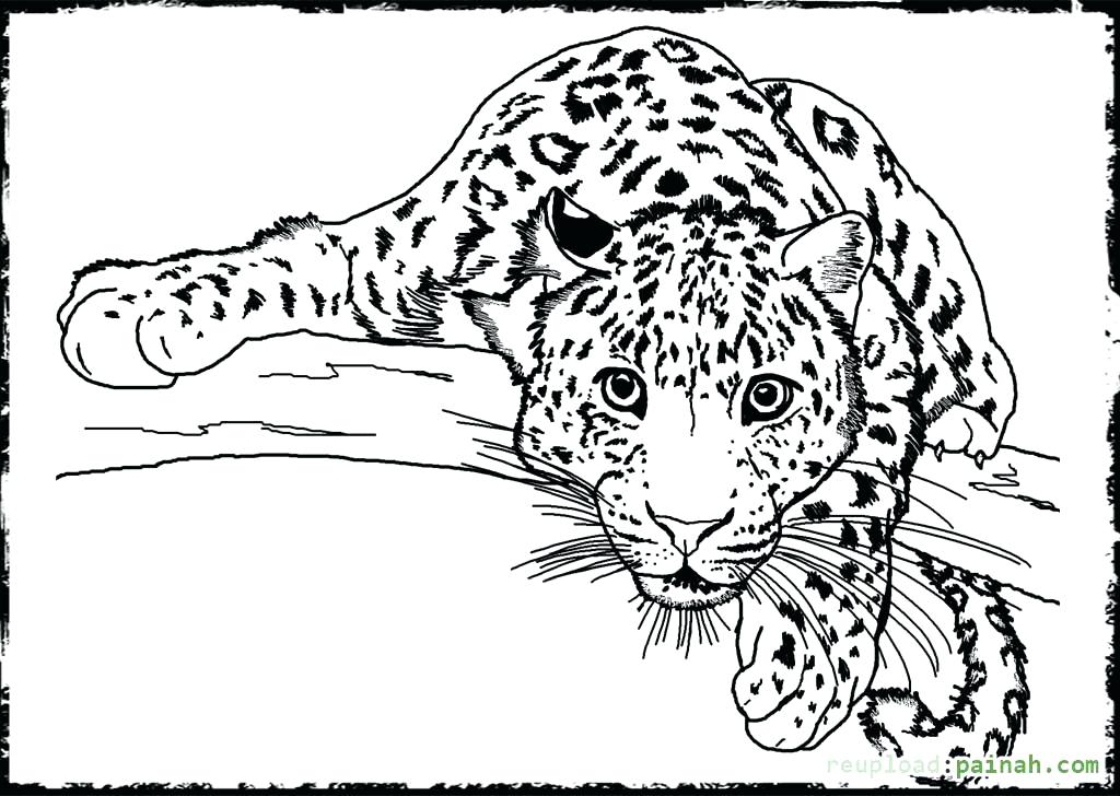 1024x728 Detailed Coloring Pages