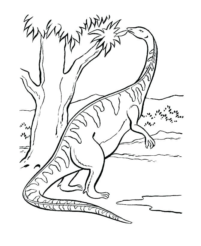 670x820 Free Dinosaur Coloring Pages To Print