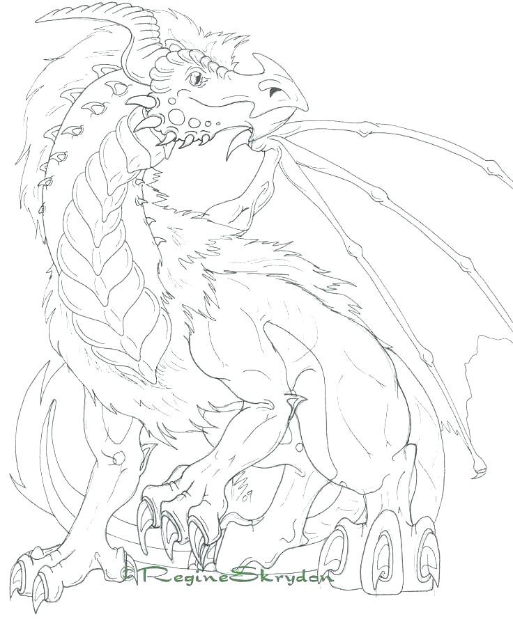 736x899 Dragon Coloring Pages Printable Dragon Free Printable Realistic
