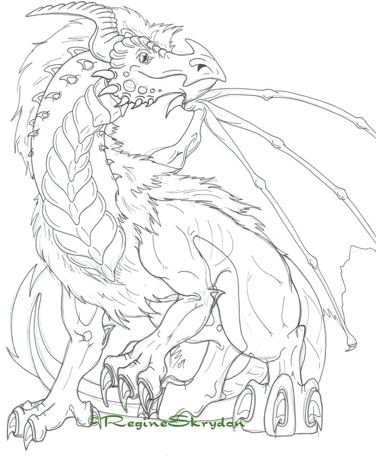 736x899 Dragon Coloring Pages For Adults To Download And Print For Free