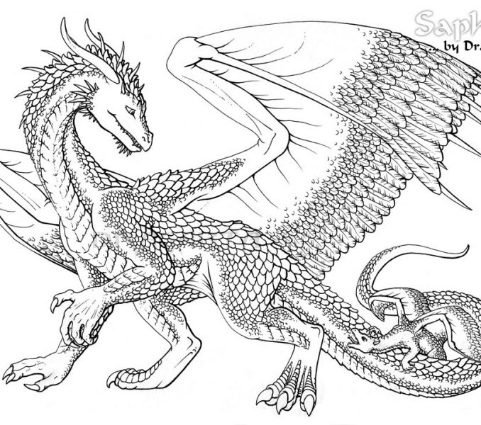 678x600 Free Printable Dragon Coloring Pages For Adults Coloring Pages