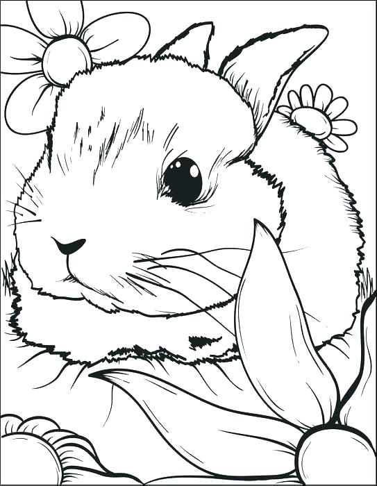 543x700 Free Printable Easter Bunny Coloring Sheets Kids Coloring Bunny