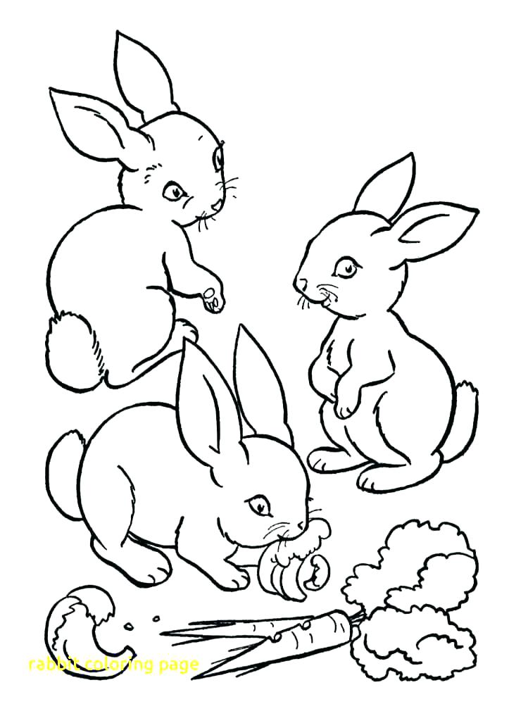 750x1000 Bunny Rabbit Coloring Pages Free Rabbit Coloring Pages Bunny