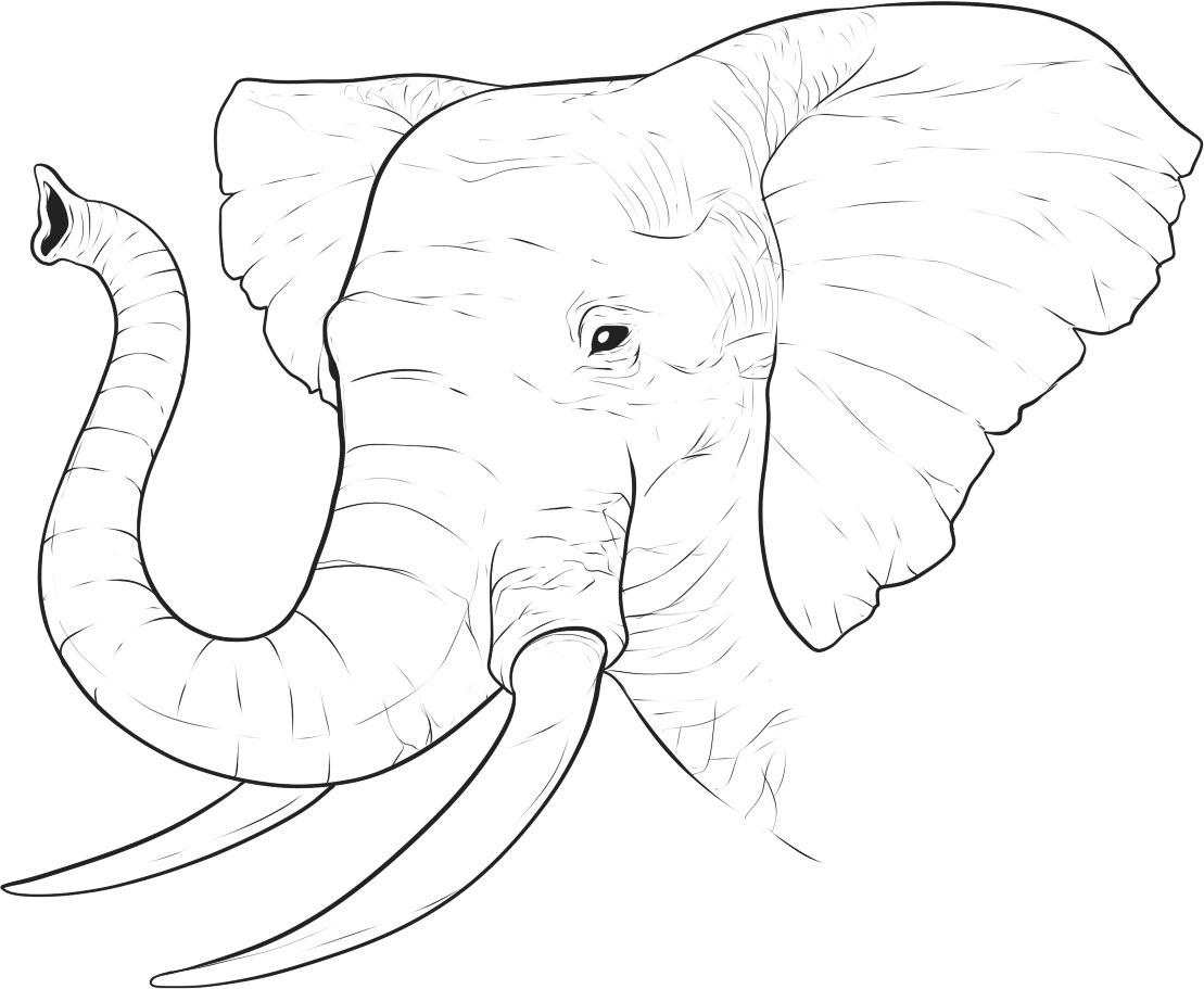 1109x911 Free Printable Elephant Coloring Pages For Kids