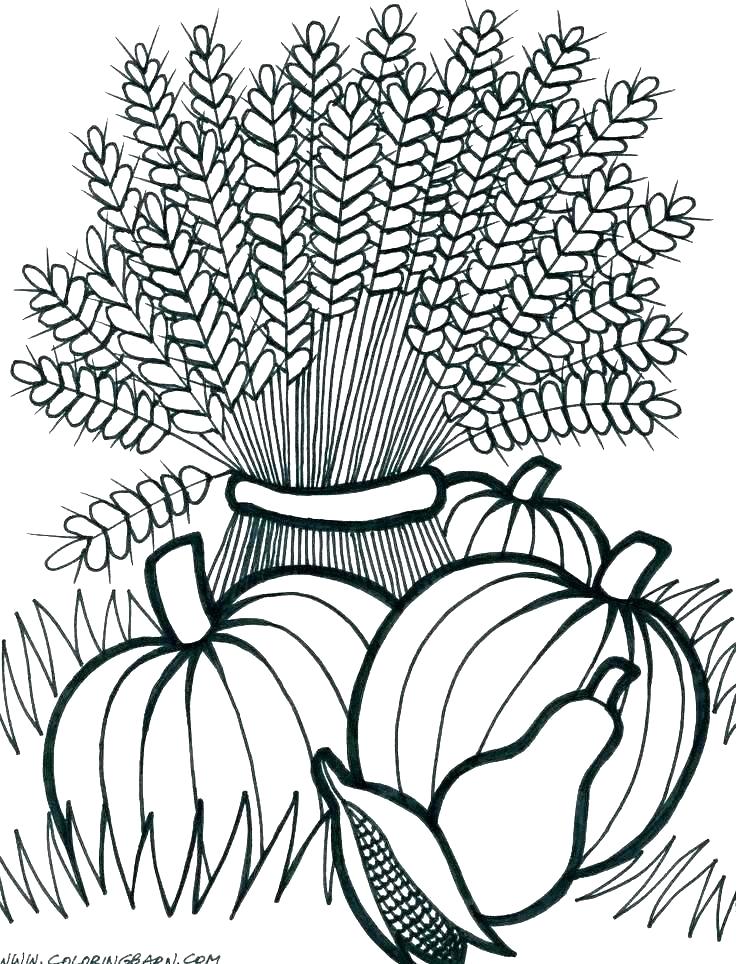 736x964 Fall Coloring Pictures To Print Free Coloring Page Coloring Pages