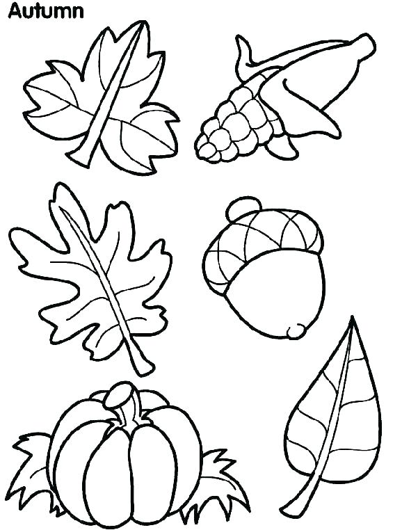 601x762 Free Autumn Coloring Pages Printable Free Fall Coloring Pages Fall