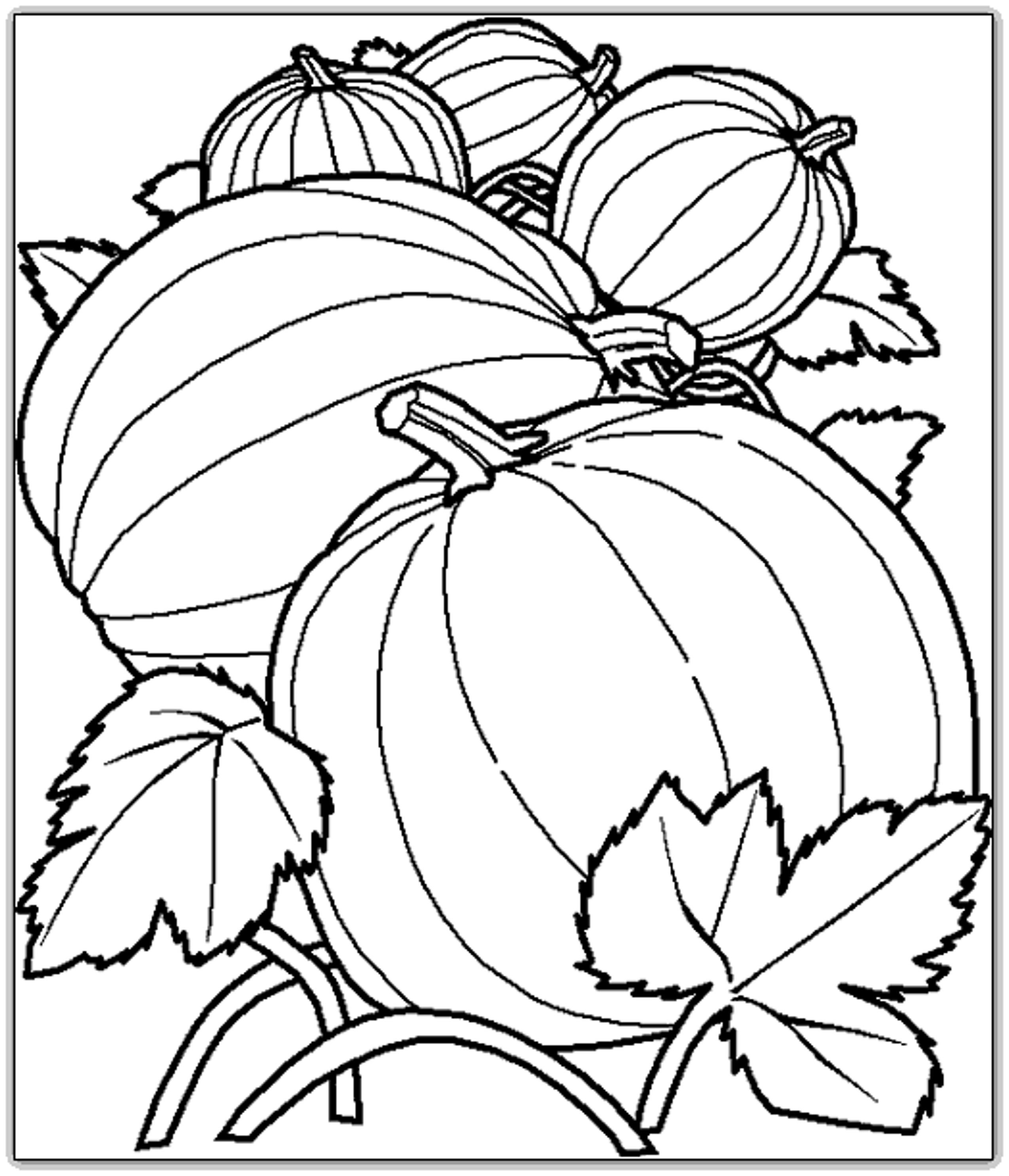 Free Printable Fall Harvest Coloring Pages at Free